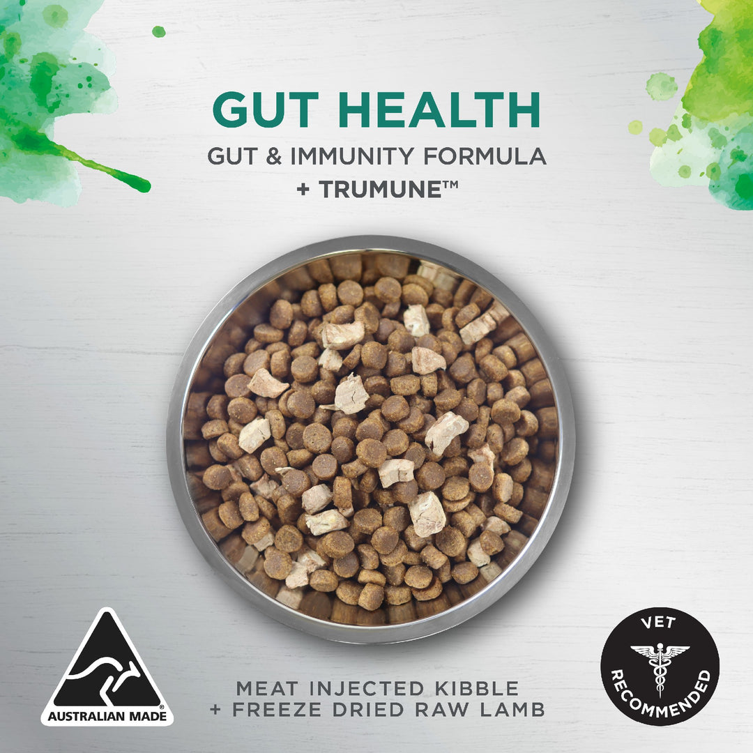 Ivory Coat K9 Raw Health Gut Health Chicken 1.8kg