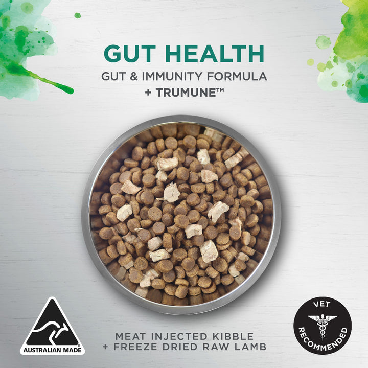 Ivory Coat K9 Raw Health Gut Health Chicken 1.8kg