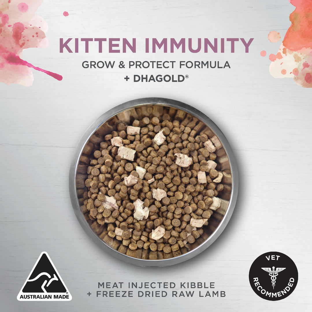 Ivory Coat F/l Raw Health Kitten Immunity Chicken 4kg