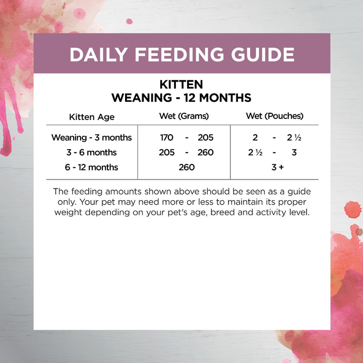 Ivory Coat F/l Inspired By Raw Kitten Immunity Chicken 12x85g