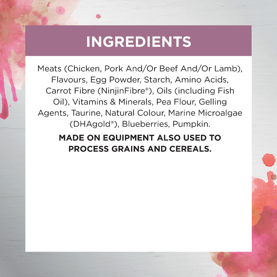 Ivory Coat F/l Inspired By Raw Kitten Immunity Chicken 12x85g
