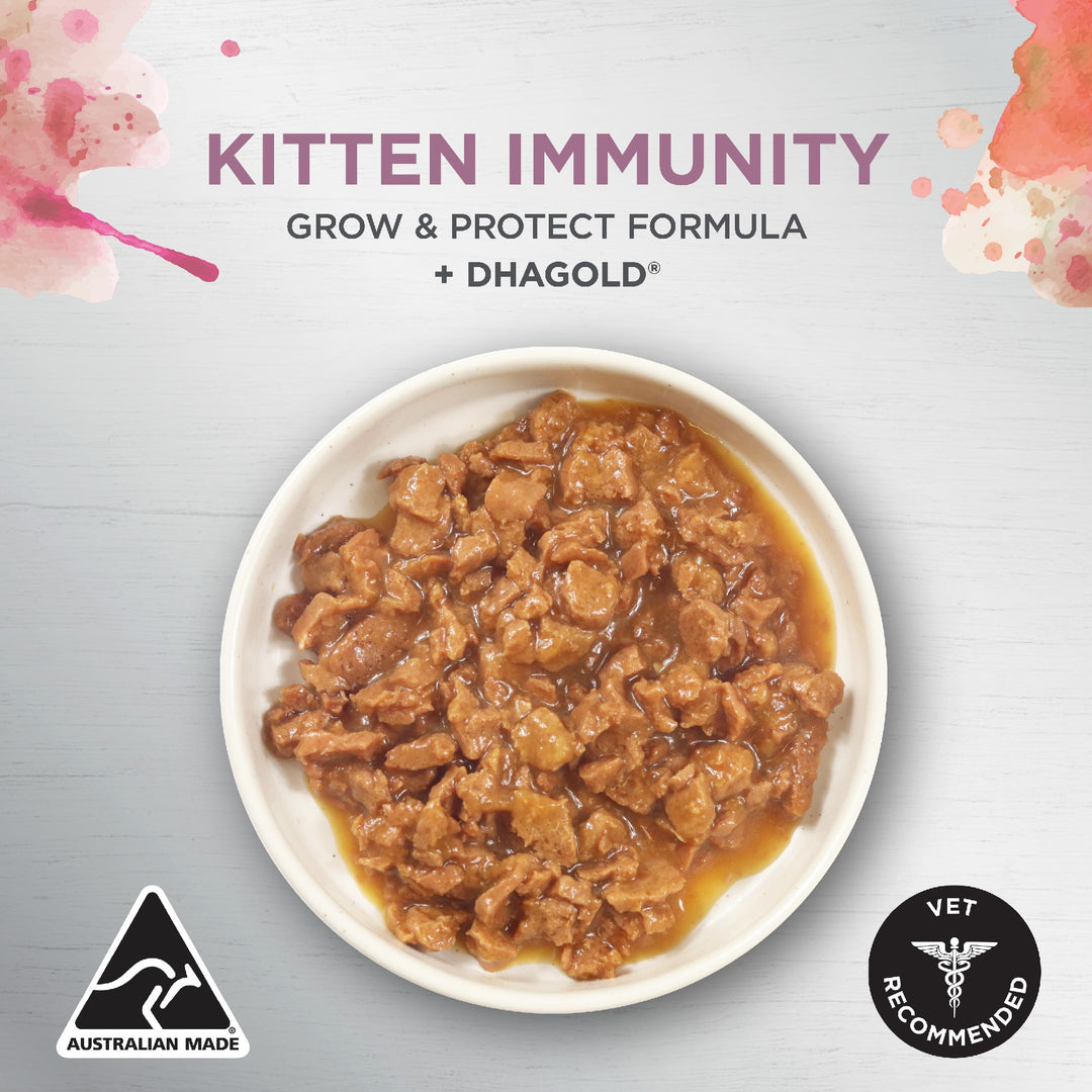 Ivory Coat F/l Inspired By Raw Kitten Immunity Chicken 12x85g