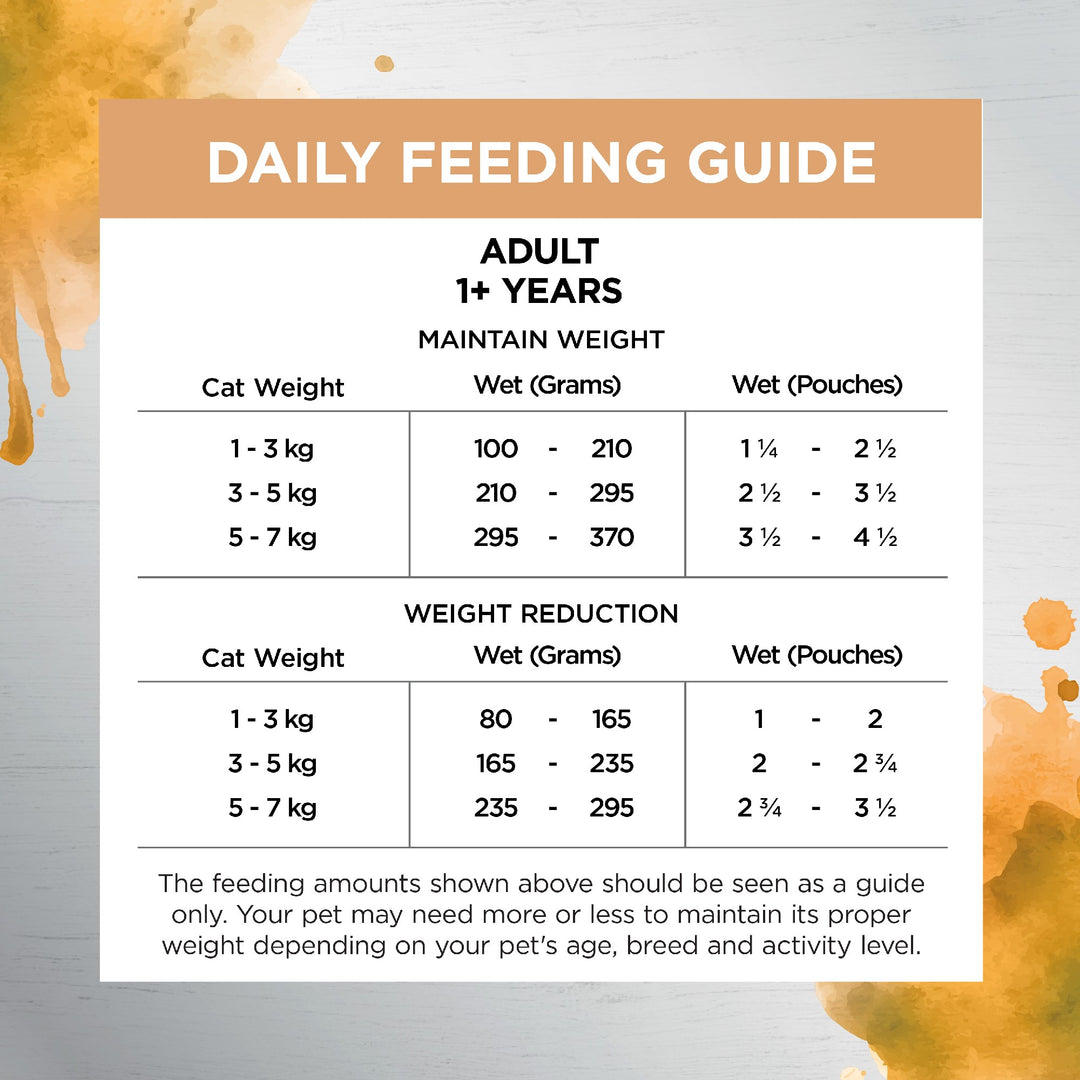 Ivory Coat F/l Inspired By Raw Health & Vitality Chicken 12x85g