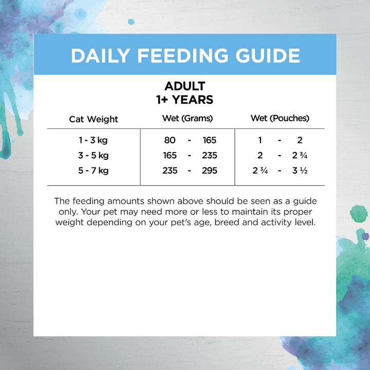 Ivory Coat F/l Inspired By Raw Gut & Digestion Chicken 12x85g