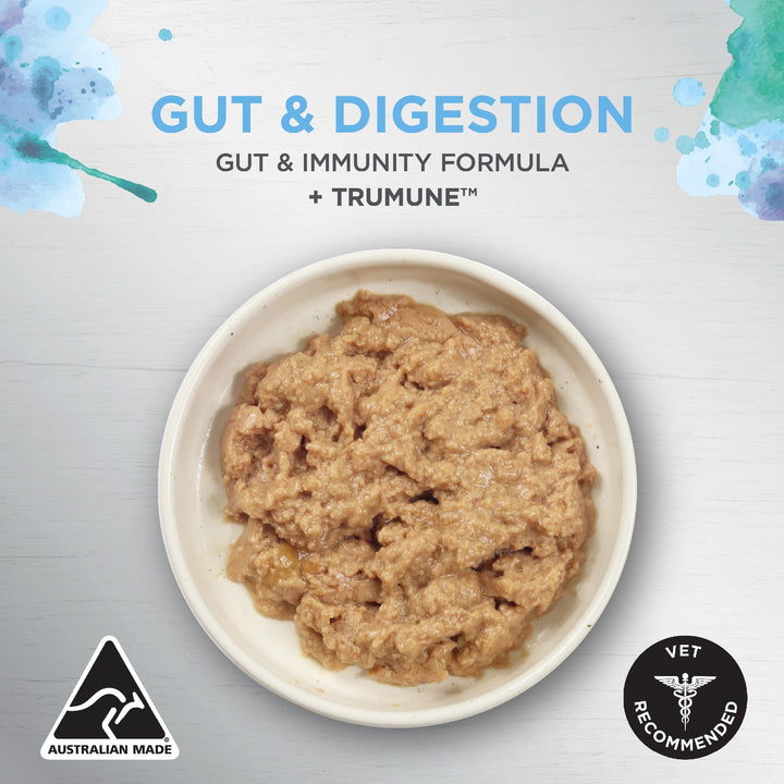 Ivory Coat F/l Inspired By Raw Gut & Digestion Chicken 12x85g