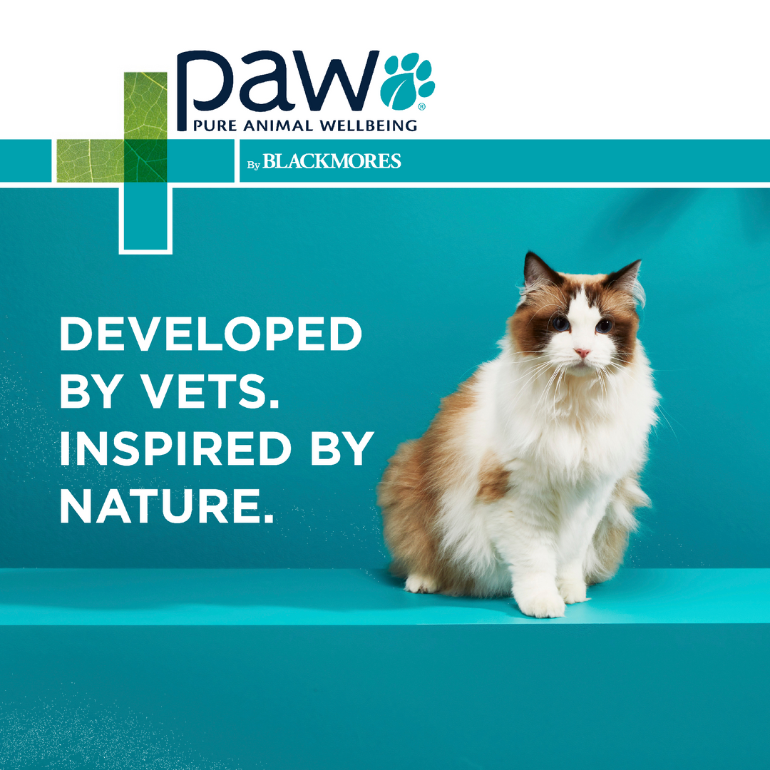 Paw Complete Calm Cat 75g