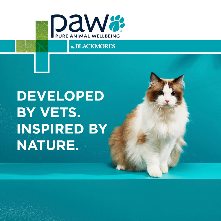 Paw Complete Calm Cat 75g