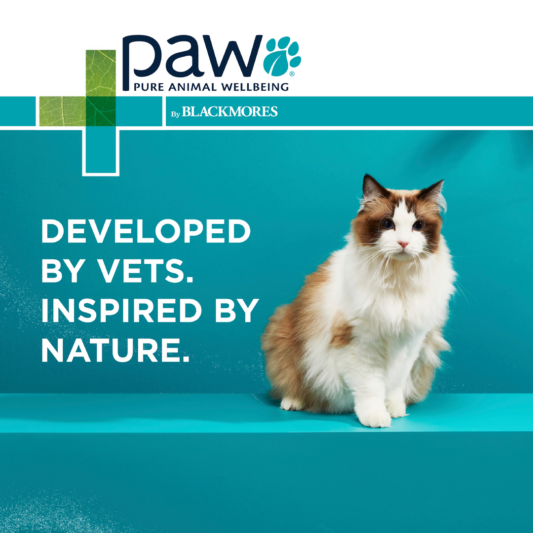 Paw Osteosupport Cats 60pk
