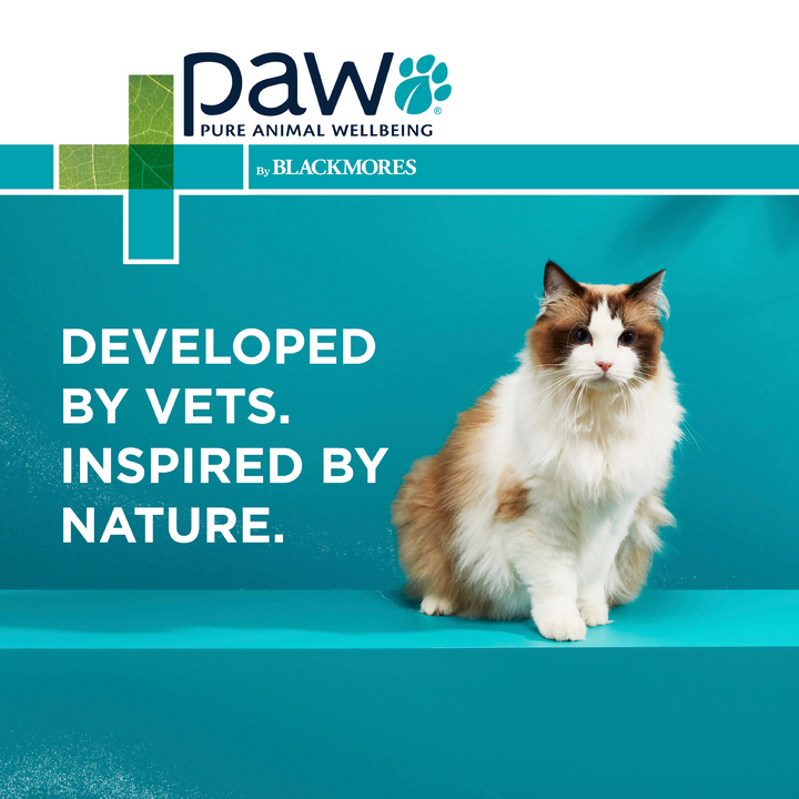 Paw Osteosupport Cats 60pk