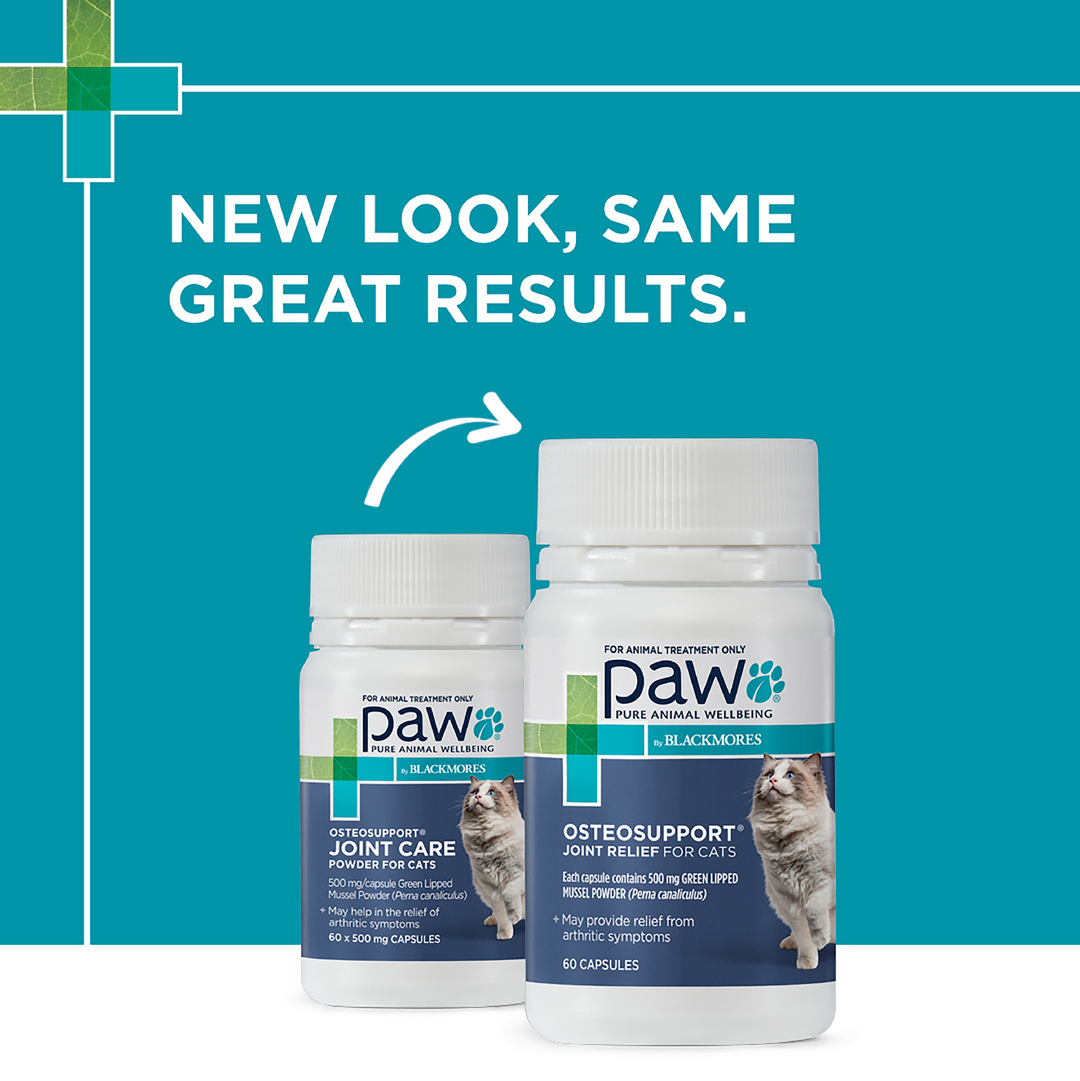 Paw Osteosupport Cats 60pk