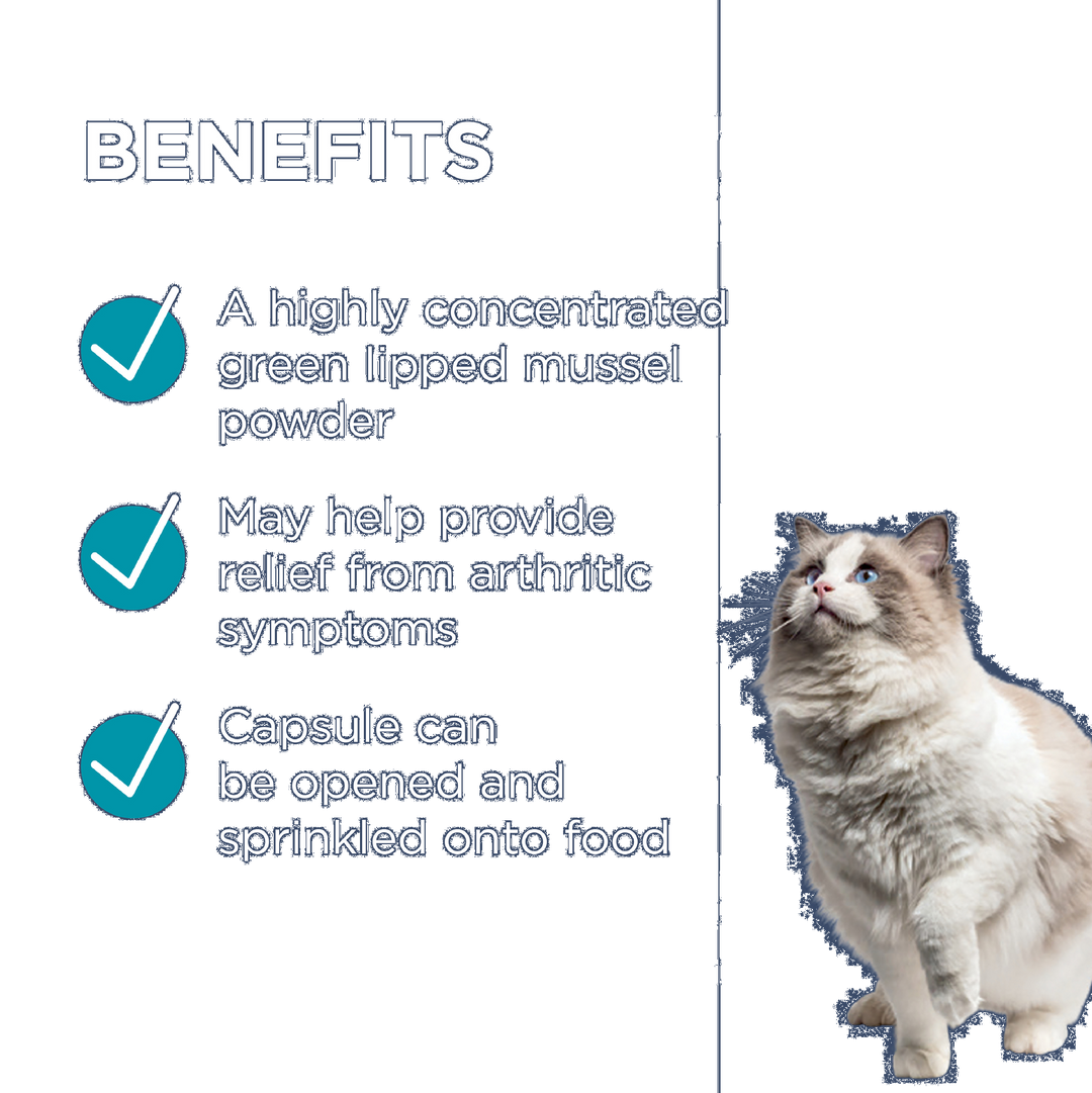 Paw Osteosupport Cats 60pk