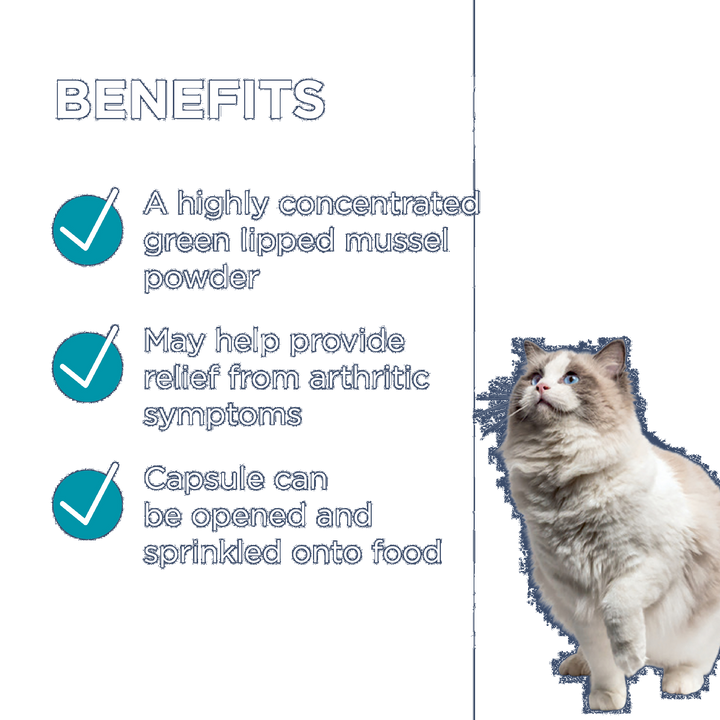 Paw Osteosupport Cats 60pk