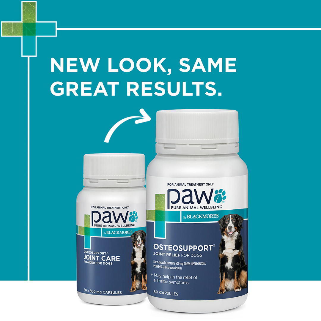 Paw Osteosupport Dogs 80pk
