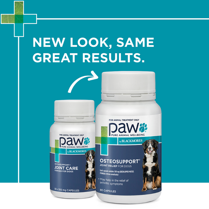 Paw Osteosupport Dogs 80pk