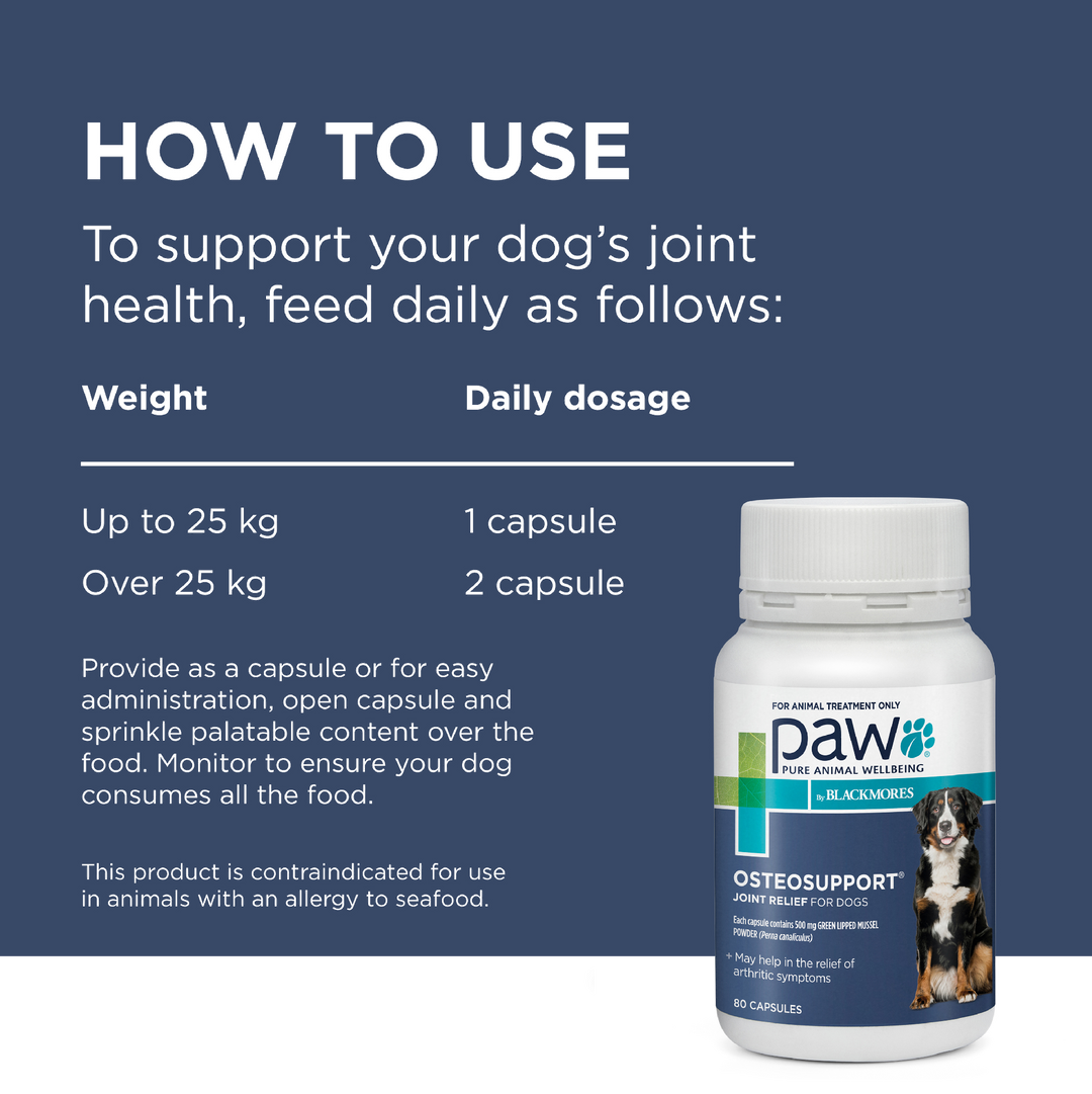 Paw Osteosupport Dogs 80pk