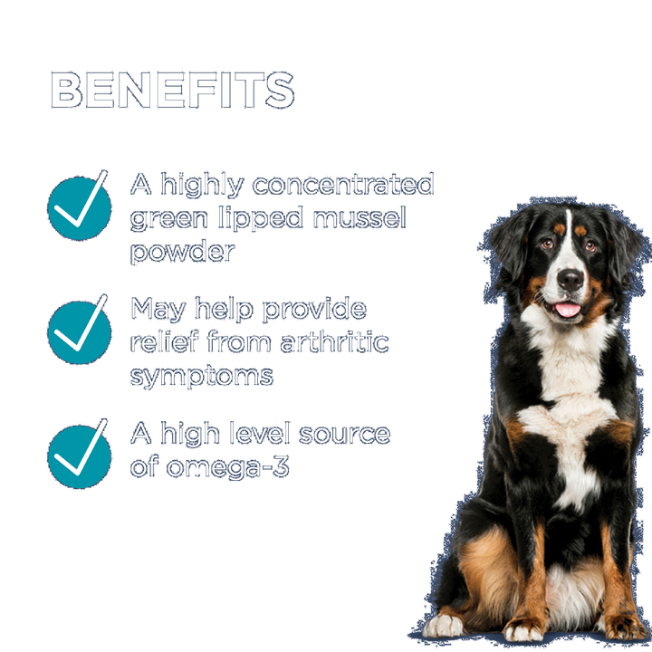 Paw Osteosupport Dogs 80pk
