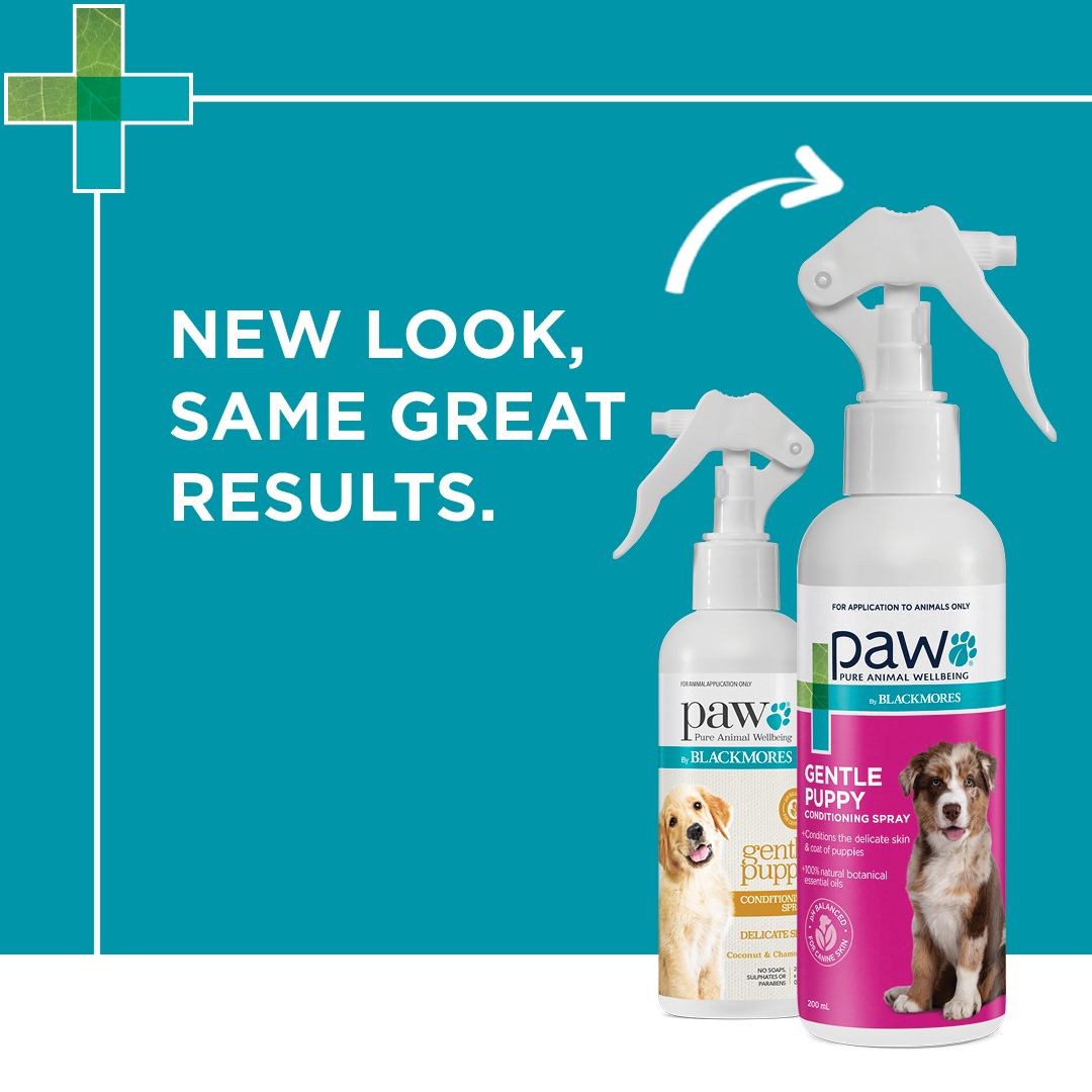 Paw Conditioning Spray Puppy 200ml
