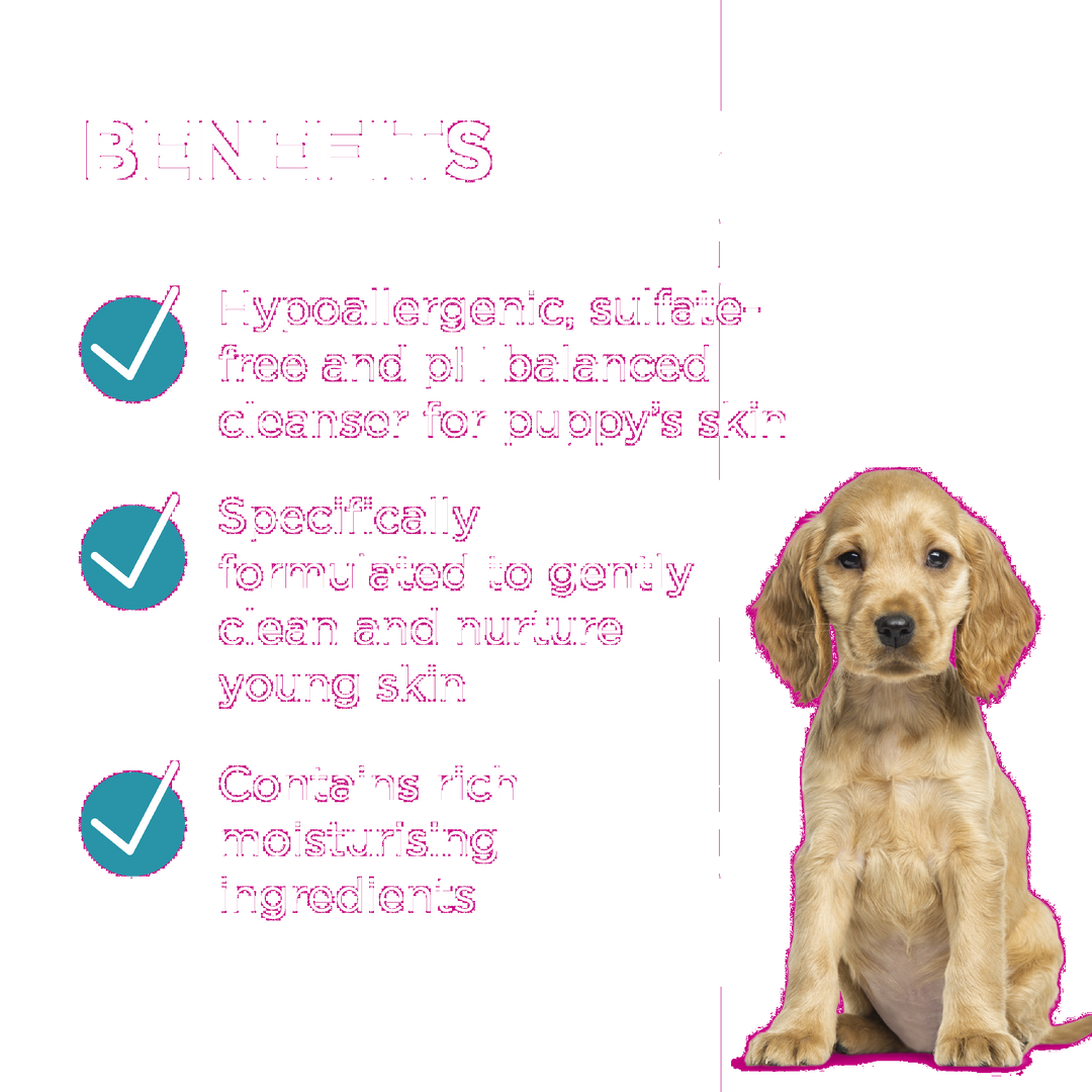Paw Conditioning Spray Puppy 200ml