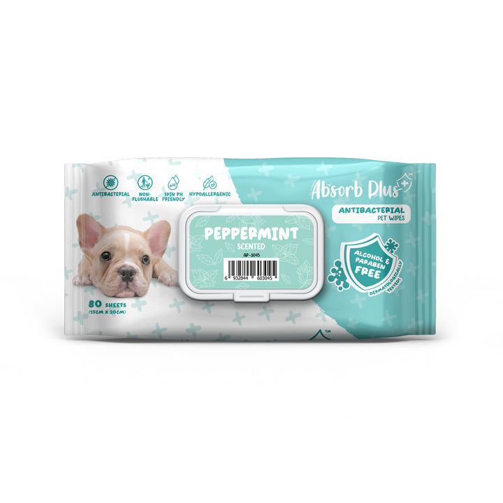 Absorb Plus Antibacterial Dog Wipes Peppermint 80 Sheets