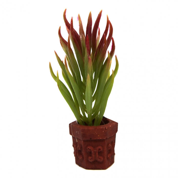 Aqua One Green/Red Plant in Pot 10cm