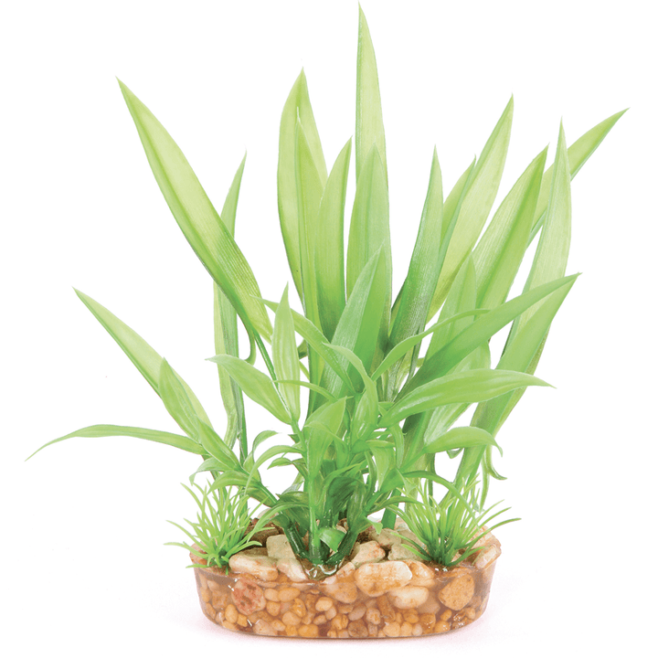 Kazoo Aquarium Plants Combo Bush Green W/thin Leaf S -15cm