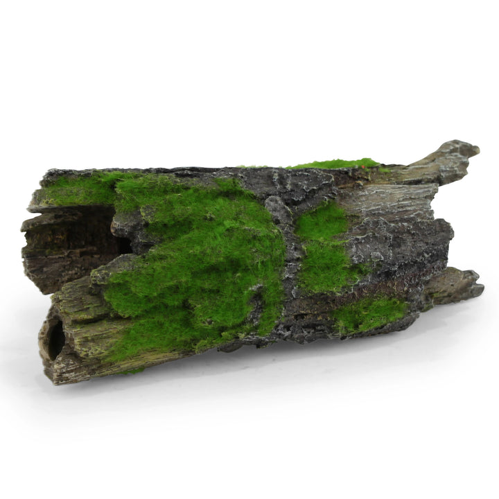 Kazoo Ornament Driftwood W/textured Moss - Medium 2