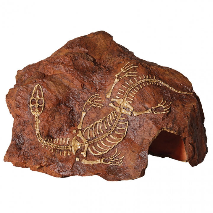 Reptile One Ornament Fossil Plesiosaur Rock 26cm