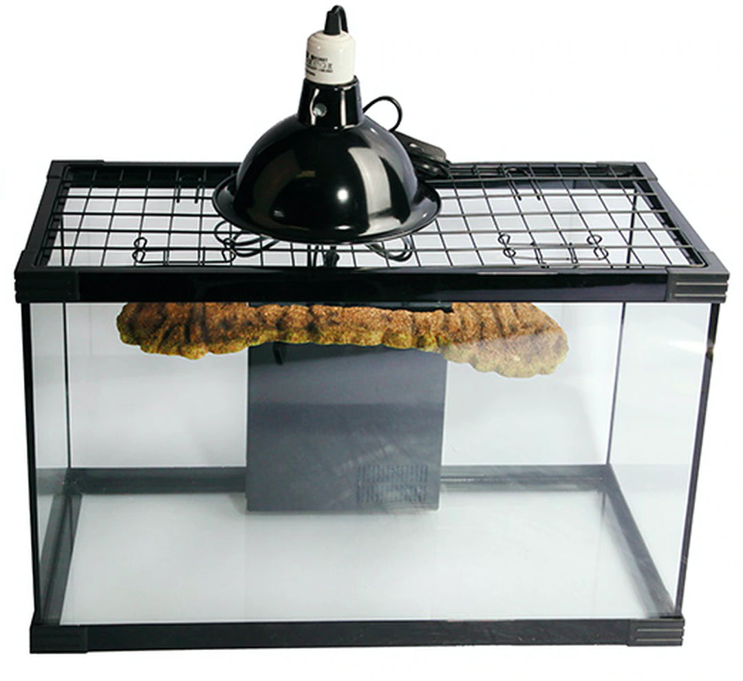 Reptile One Turtle Tank Nursery Kit 60lx30dx37h